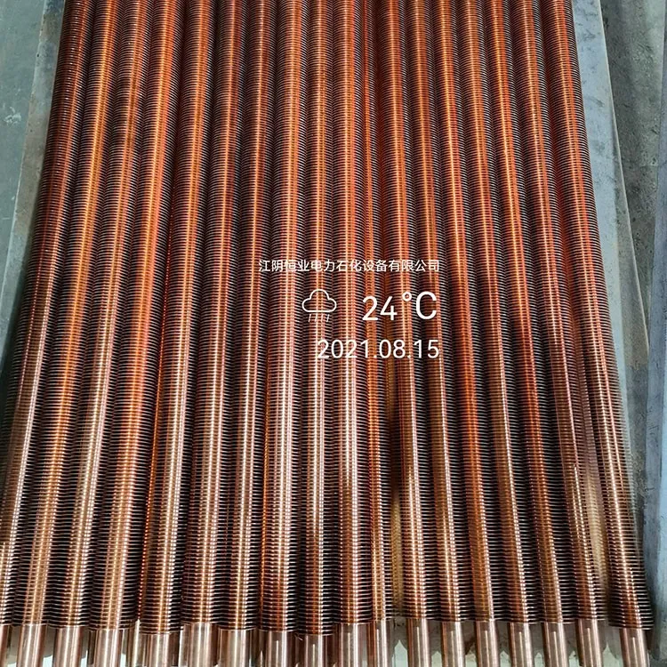 _20231129145631